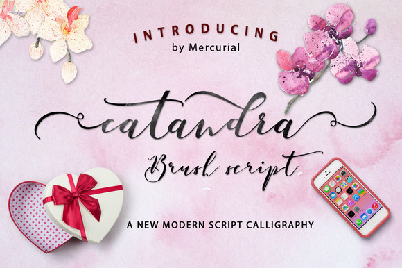 Catandra Script: A Modern Typeface Review
