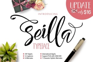 Seilla Script: A Modern Typeface for Branding