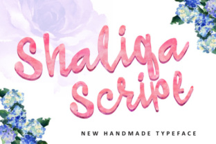 Shaliqa Script: A Natural Typeface for Web Design