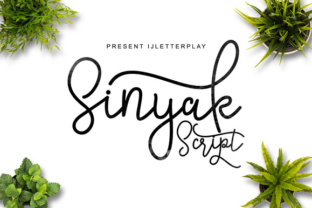 Sinyak Script Font Review for Brand Designers